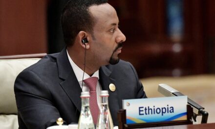 What is Happening in Ethiopia and what should be done about it?