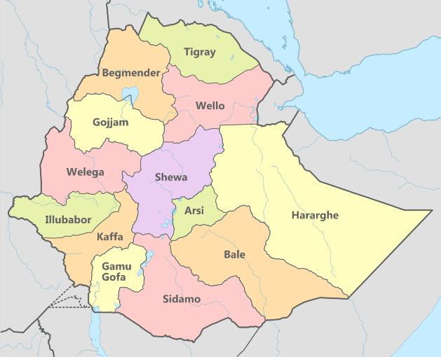 The operation in North Ethiopia seems over, but critical questions remain