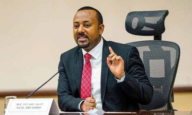 Ethiopia under stress test: Diagnosis and Prescription