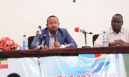 Tocquevillian Critique of Ethiopia’s Ethnic Federalism