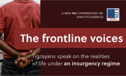The frontline voices: Tigrayans speak on the realities of life under an insurgency regime