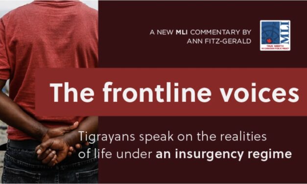 The frontline voices: Tigrayans speak on the realities of life under an insurgency regime