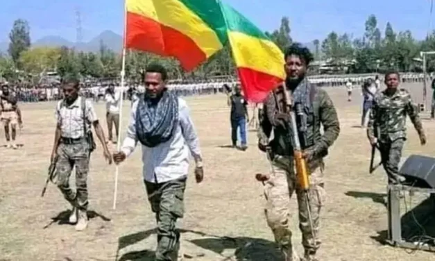 How Abiy’s Tyranny, Failed Leadership, and the Persecution of Amharas Caused the Latest War in Ethiopia?